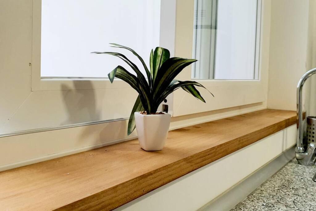 אלגסירס Apartamento Interior En El Absoluto Centro Ba מראה חיצוני תמונה